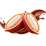 Cacao